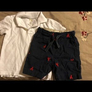 JCrew polo and lobster shorts